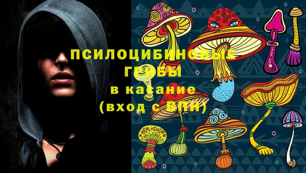 spice Алзамай