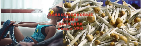 трава Алексеевка