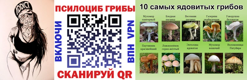 Галлюциногенные грибы Psilocybe  наркошоп  Ужур 